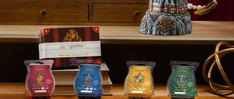 Harry Potter Scentsy Warmer