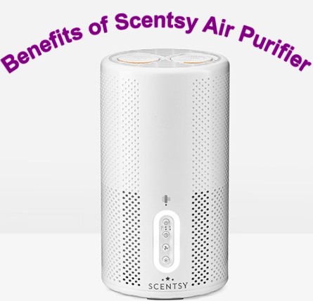 Scentsy Air Purifier