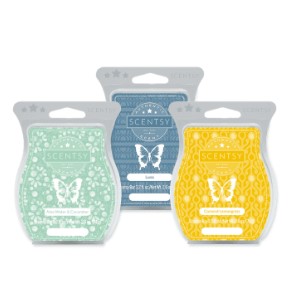 Scentsy Wax Melts