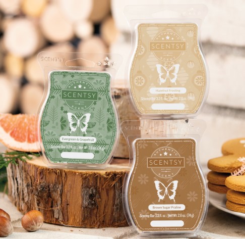 Scentsy Wax Melts